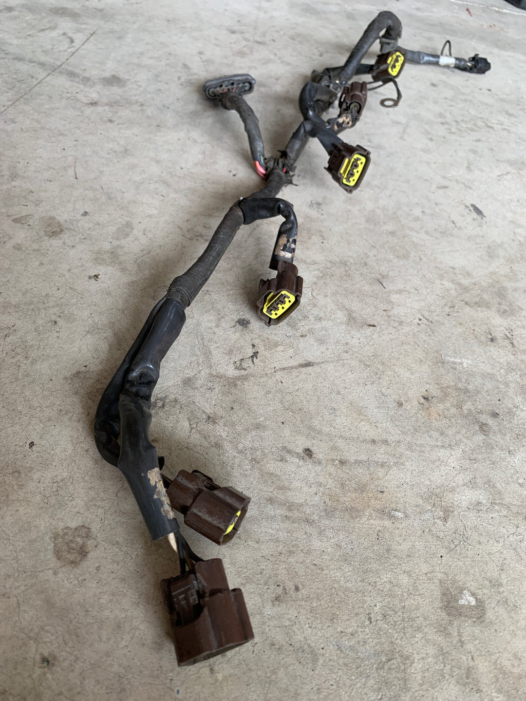 Coil Pack Loom, R33 GTR