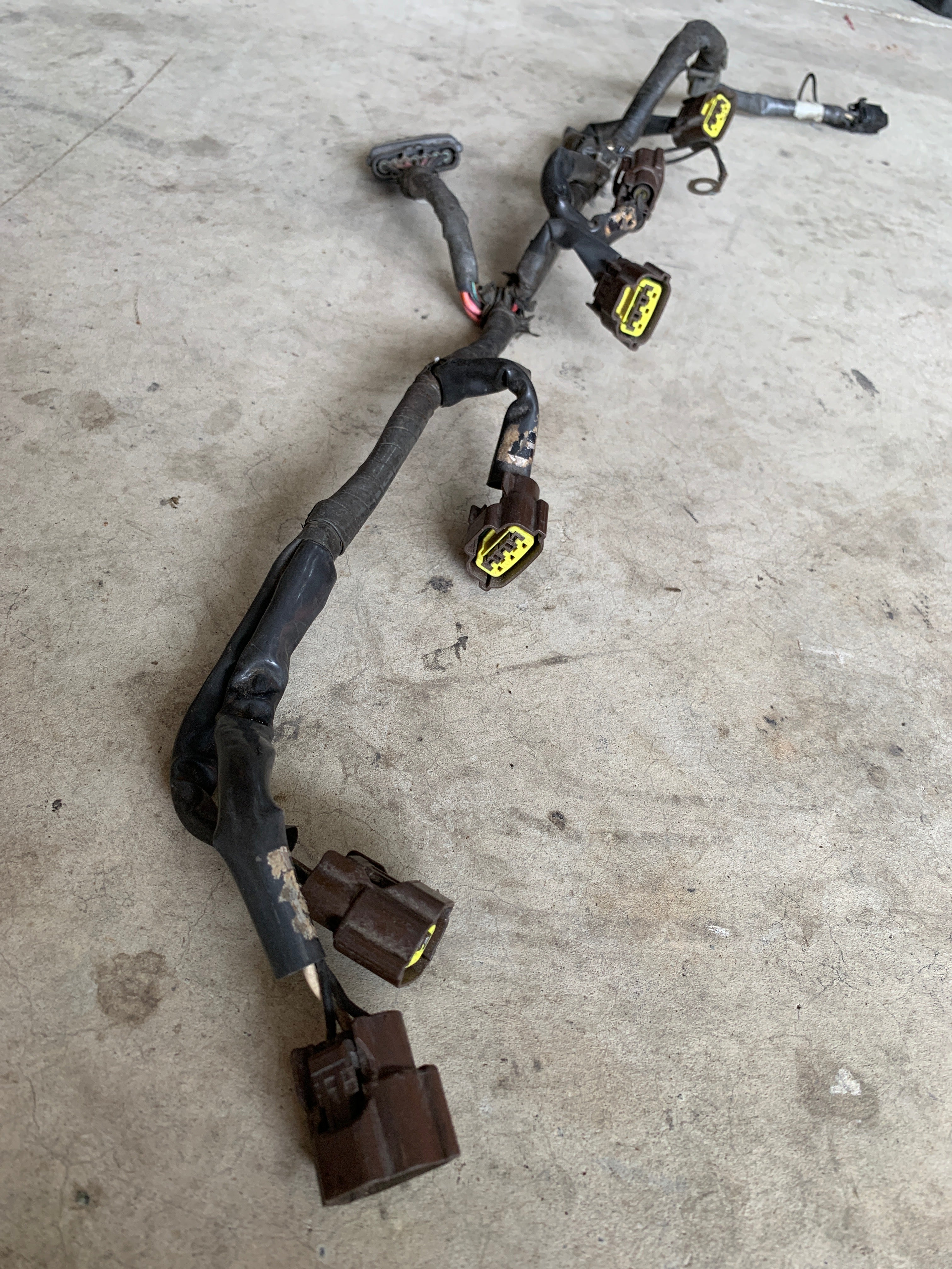 Coil Pack Loom, R33 GTR