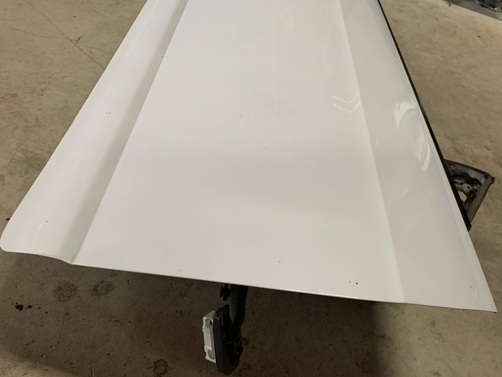 Driver Door, R33