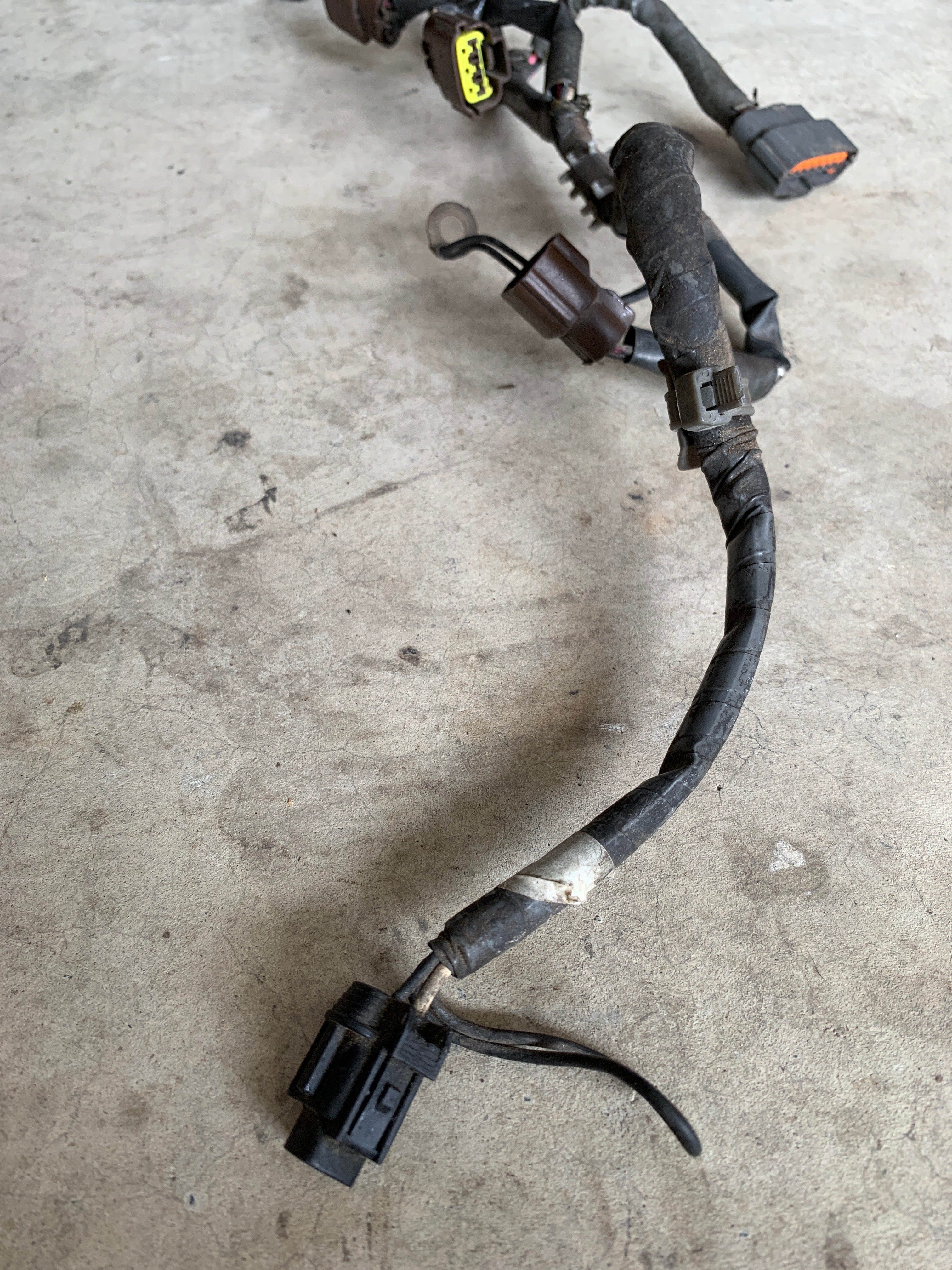 Coil Pack Loom, R33 GTR