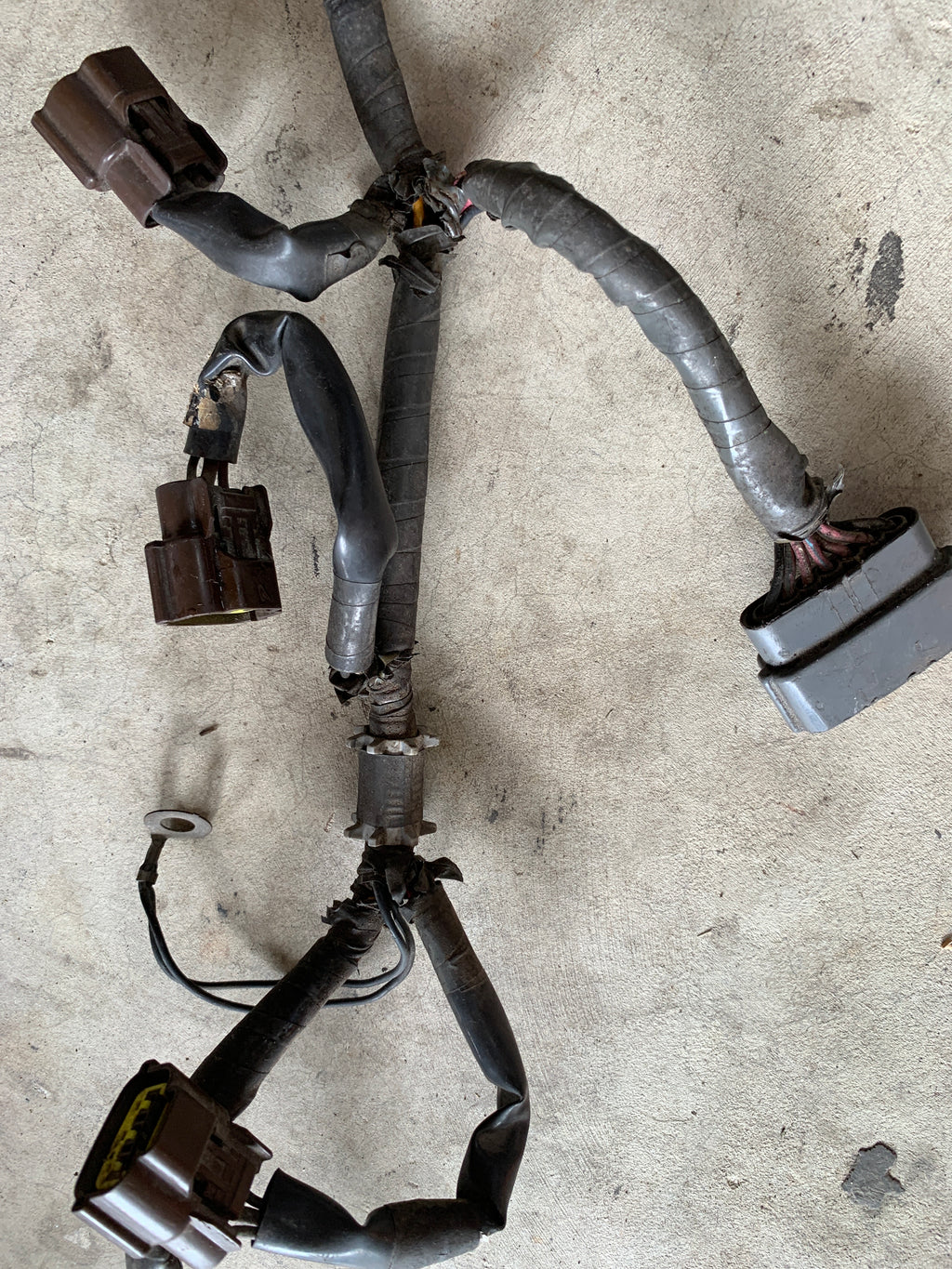 Coil Pack Loom, R33 GTR